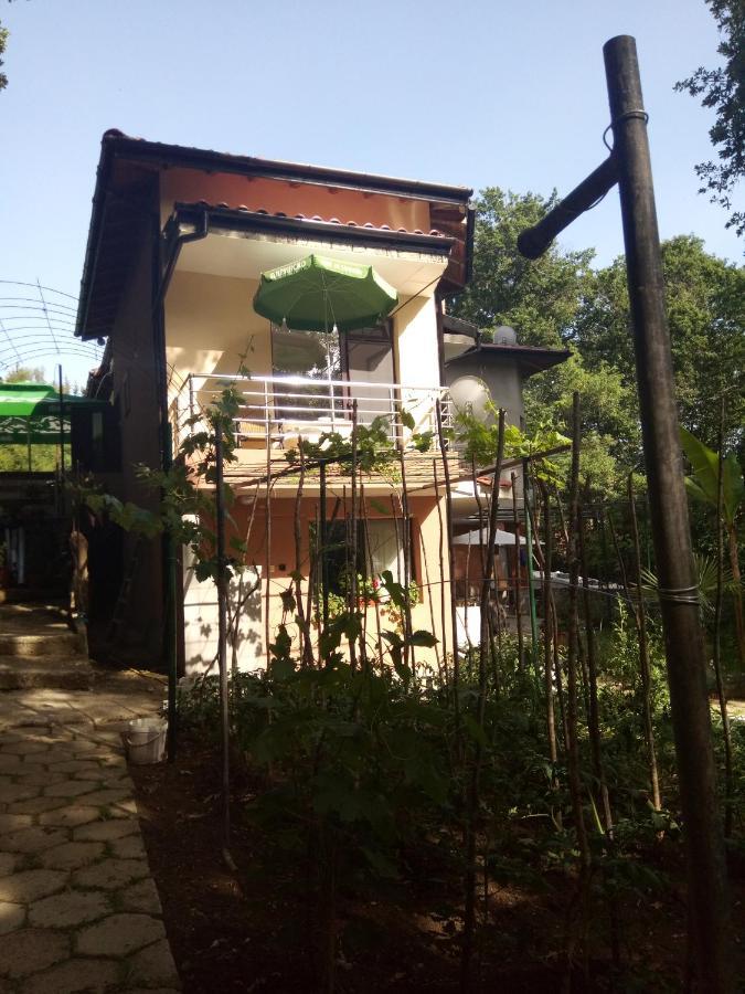 Villa Pita Kiten  Esterno foto